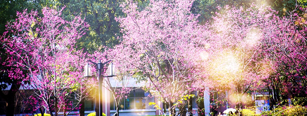 3044am永利集团官网