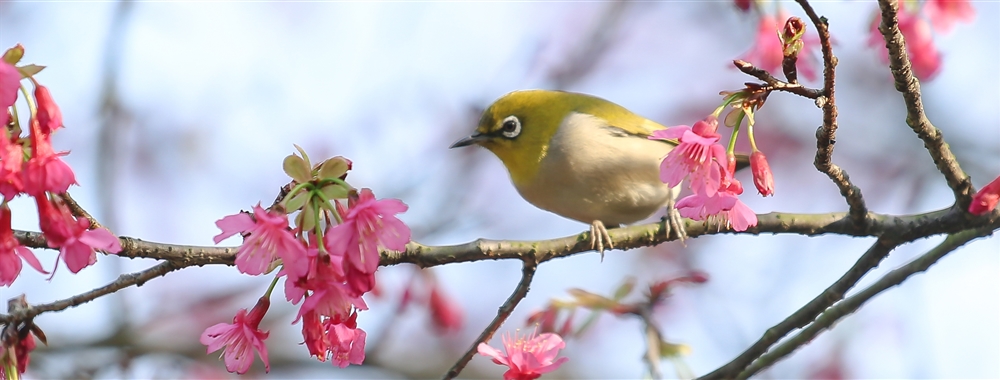 3044am永利集团官网